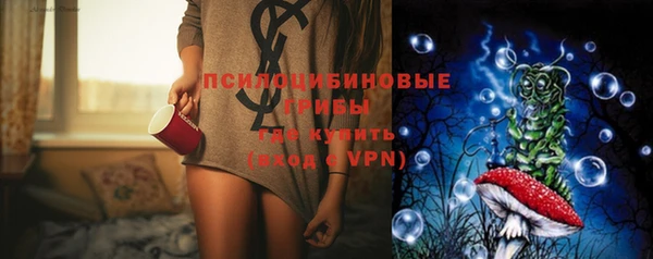 мдма Медвежьегорск
