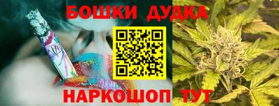 гидра Гай