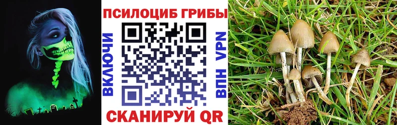 Галлюциногенные грибы MAGIC MUSHROOMS  Нурлат 