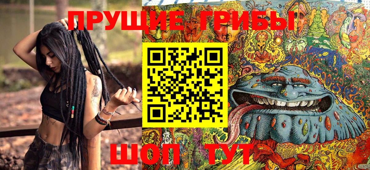 Галлюциногенные грибы GOLDEN TEACHER  Вход с VPN  Нурлат 